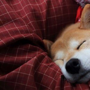 Meet your Posher, Marcela